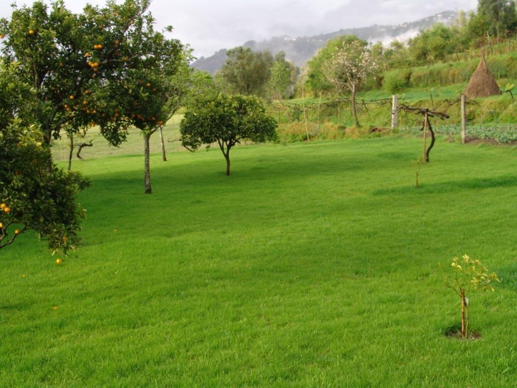 Quinta De Santa Marinha Daire Arcos de Valdevez Dış mekan fotoğraf