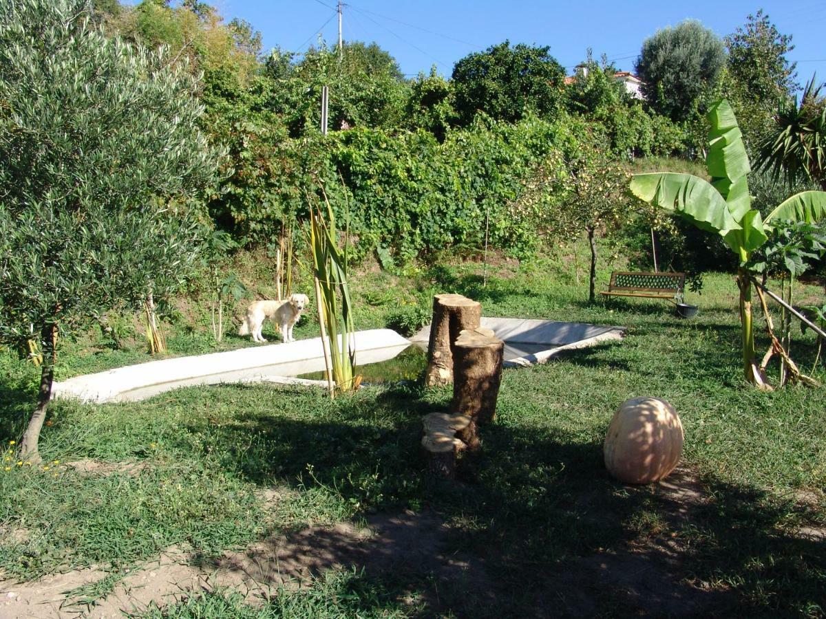 Quinta De Santa Marinha Daire Arcos de Valdevez Dış mekan fotoğraf