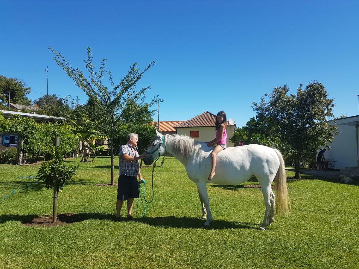 Quinta De Santa Marinha Daire Arcos de Valdevez Dış mekan fotoğraf