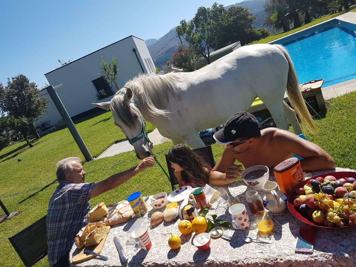 Quinta De Santa Marinha Daire Arcos de Valdevez Dış mekan fotoğraf
