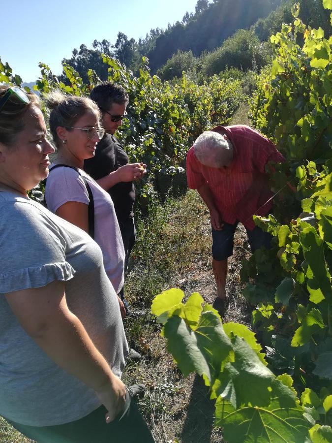 Quinta De Santa Marinha Daire Arcos de Valdevez Dış mekan fotoğraf